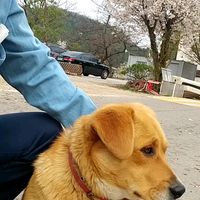 오리지널 사운드 - 풍경