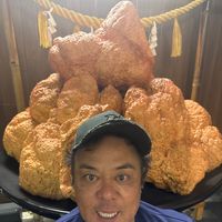 abarenbouchicken_iri