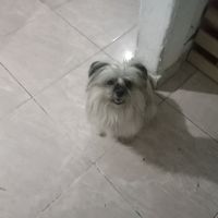 anyii.villamizar
