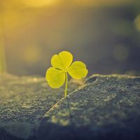 an_nhien2107