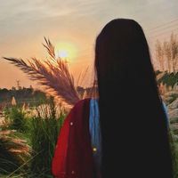 nill_pori8