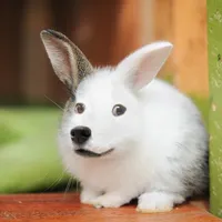 Shes an addict by yuke