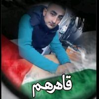 shadeezeedat2