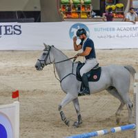 alrezzi6