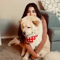 original sound - rzz.xkhaterine