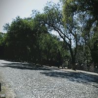 mrxzz1501