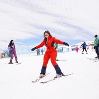 alina_arman