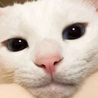 user5252430348026