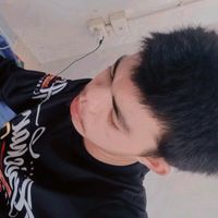art25488