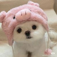 saungcherryshar