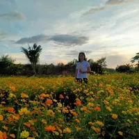 original sound - si.rady