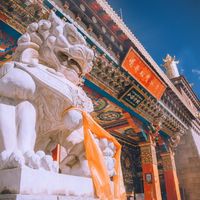 原声 - 松贊林文化文創