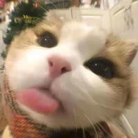 original sound - dzihnow