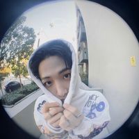 bonedo pcs collector