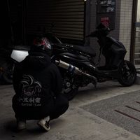原聲 - 北極熊