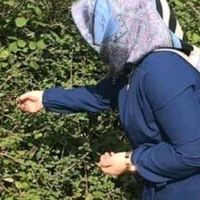 dertli_y