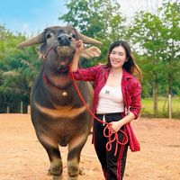 เสียงต้นฉบับ - เด็กเลี้ยงควายbyใบเตย