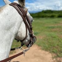 sonido original