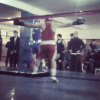 boxingcludinter