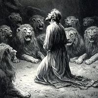 fe.nojusto55