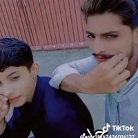 user15162436016127