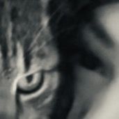 .fletaaaa