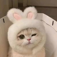 original sound - mhia 🎀