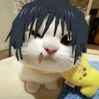 sohan_8t8