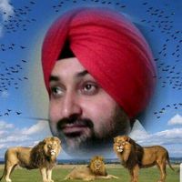 js.toor