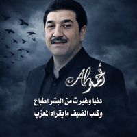 الصوت الأصلي