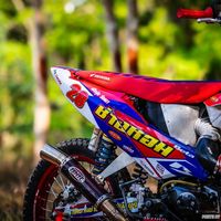 tonhom91za