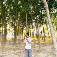 mr_iswor