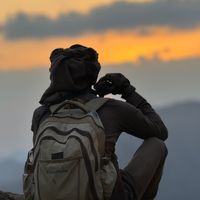 الصوت الأصلي