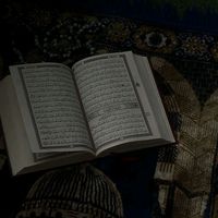 shawqi398