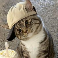 aung_mine11