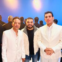 الصوت الأصلي