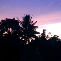 suara asli - Rompalzilbil