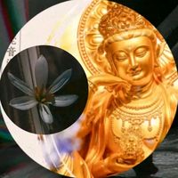 1.tawan.1