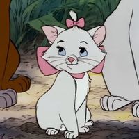 baebjelibear