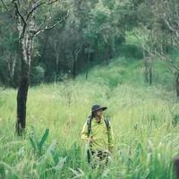 original sound - travel.diarys.2