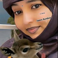 الصوت الأصلي