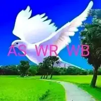 original sound - fiif.shiggiree