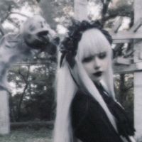 オリジナル楽曲 - 猫