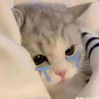 original sound - thanh.nga240411