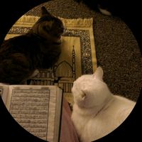 لماذا تركتني