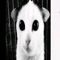 suara asli - ᏦᎡᏆᎬᏀ
