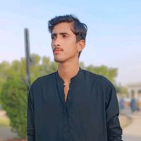 zulfiqarlashari48
