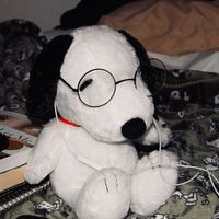 koda_ctv