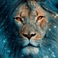 original sound - schmerzlich__schon