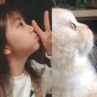 nhạc nền - asnyun7